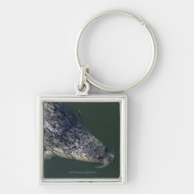 Seal swimming under the water 2 key ring (Front)