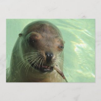 Seal with Fish Invitation