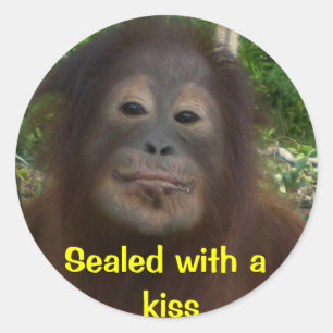 Sealed with a kiss classic round sticker