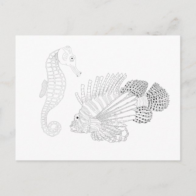 Sealife Adult Colouring Postcard (Front)