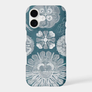 Sealife Blueprint IV