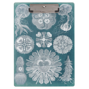Sealife Blueprint IV Clipboard