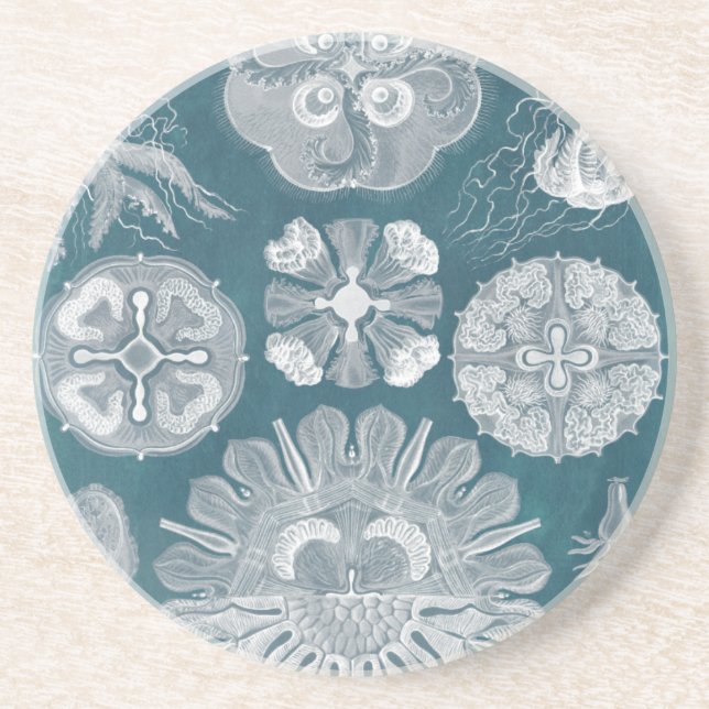 Sealife Blueprint IV Coaster (Front)