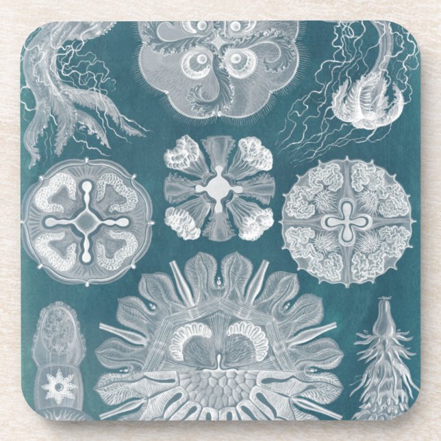 Sealife Blueprint IV Coaster (Front)