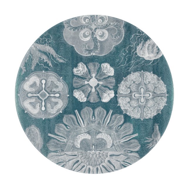 Sealife Blueprint IV Cutting Board (Front)