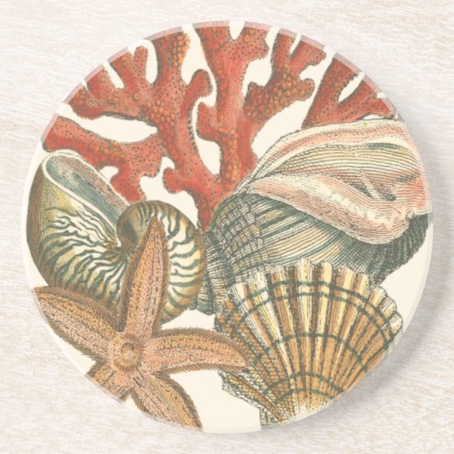 Sealife Collection Coaster (Front)