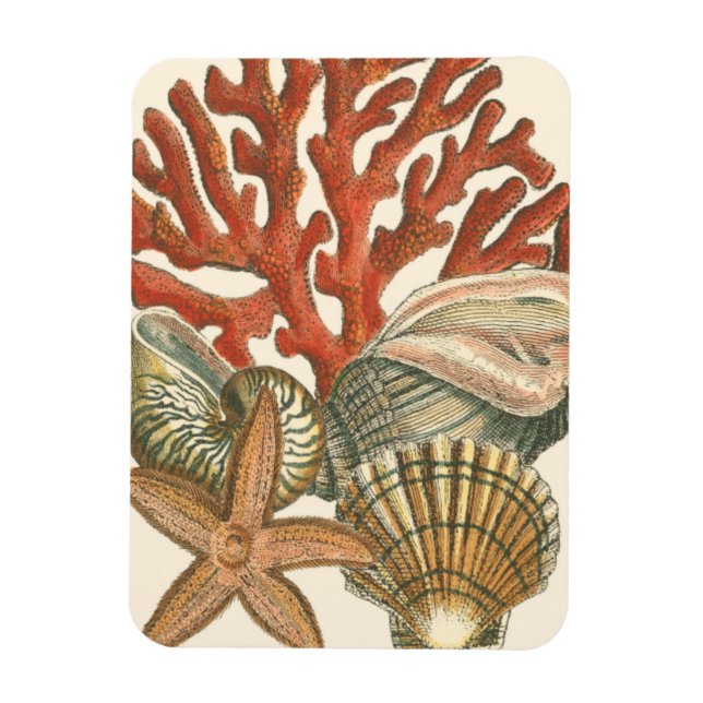 Sealife Collection Magnet (Vertical)