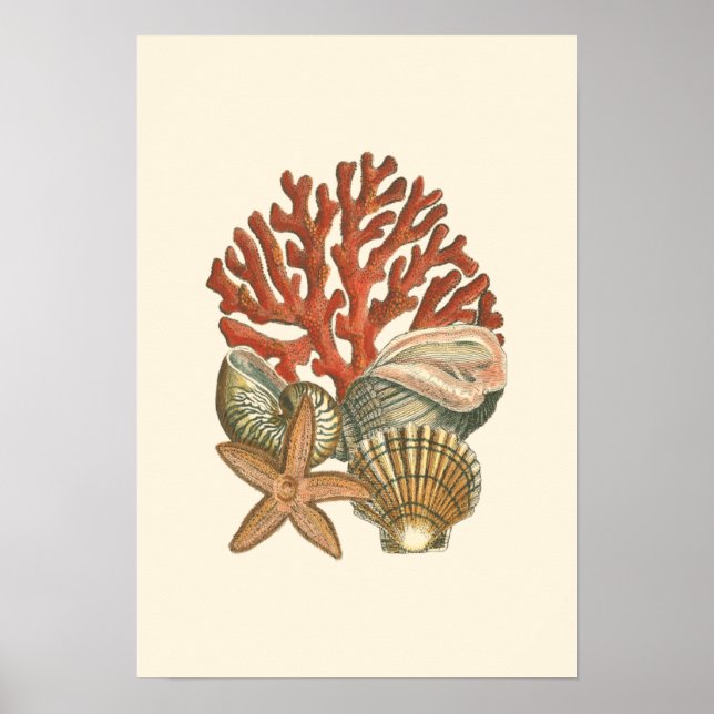 Sealife Collection Poster (Front)