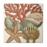 Sealife Collection Tile<br><div class="desc">This art print displays sharp,  vivid images with a high degree of colour accuracy. Get your sealife collection today in this vintage print. It beautiful red coral reef and lovely starfish will go great on any product.</div>