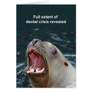 Sealion card