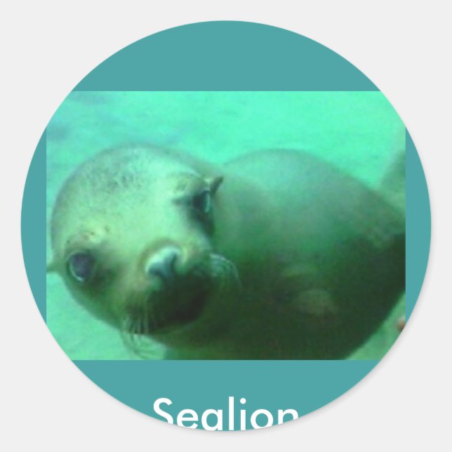 Sealion Classic Round Sticker (Front)
