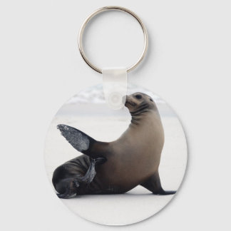 Sealion Key Ring