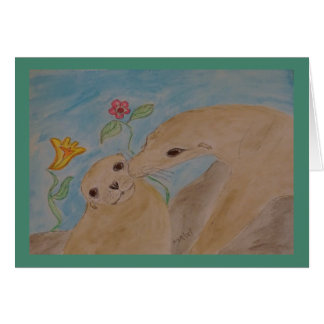 seals