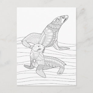 Seals Adult Colouring Postcard