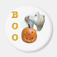 Sealyham Terrier Boo