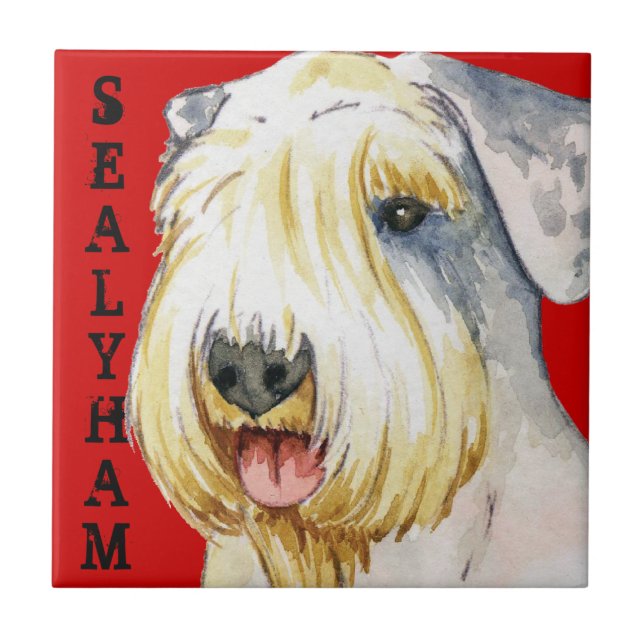 Sealyham Terrier Colour Block Tile (Front)