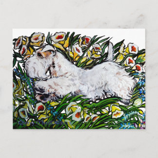 Sealyham Terrier Daffodils Postcard