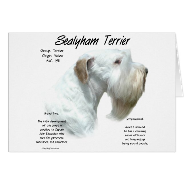 Sealyham Terrier History (Front Horizontal)