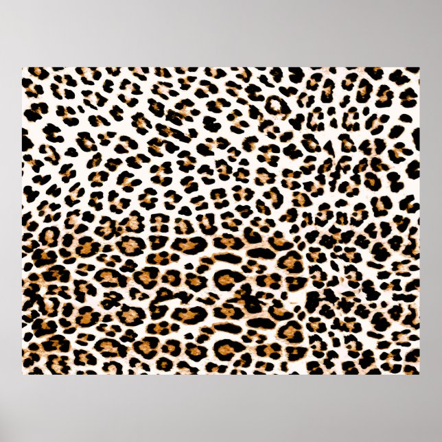 Seamless leopard texture, african animal print (Front)