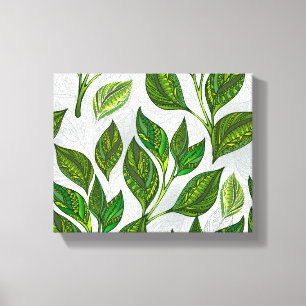 Seamless Pattern with Green Tea Leaves Canvas Print