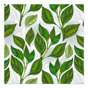 Seamless Pattern with Green Tea Leaves Photo Print