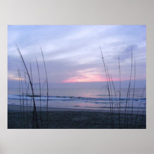 Seaoats and Sunrise Poster