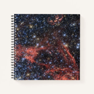 Search For Stellar Survivor Of Supernova Explosion Notebook