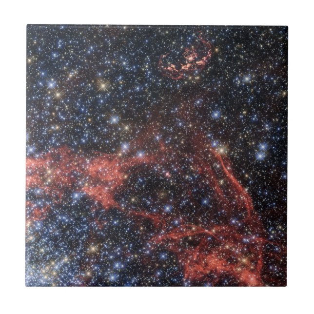 Search For Stellar Survivor Of Supernova Explosion Tile (Front)