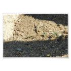 Searching For Dream Time