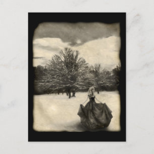 Searching - Postcard