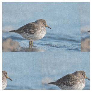 Searching Rock Sandpiper Fabric
