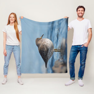 Searching Rock Sandpiper Fleece Blanket