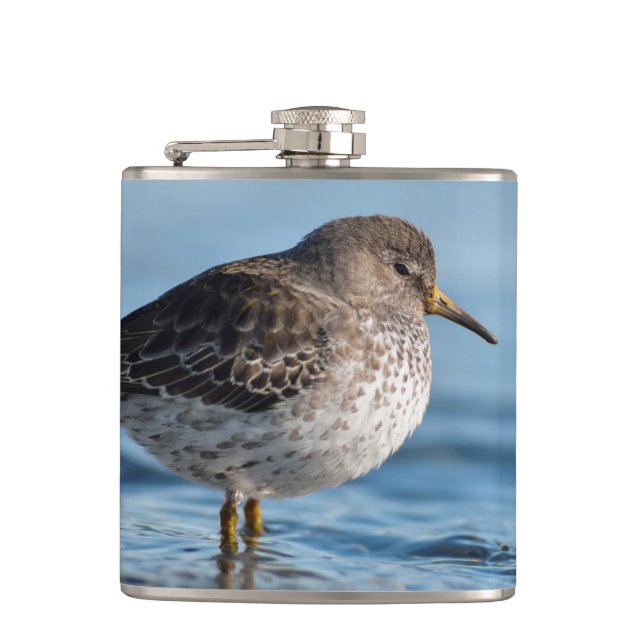 Searching Rock Sandpiper Hip Flask (Front)
