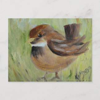 Searching the grass postcard