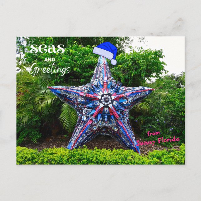 Seas and Greetings from Sunny Florida Christmas  Postcard (Front)