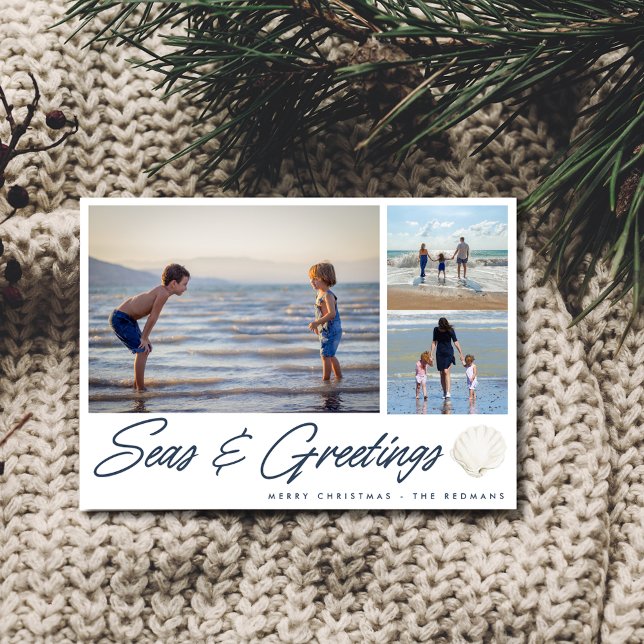 Seas & Greetings Coastal Family Holiday Card (Seas & Greetings Coastal Family Holiday Card)