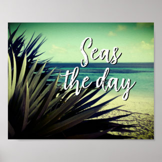 Seas the day hidden paradise palm tree beach photo poster