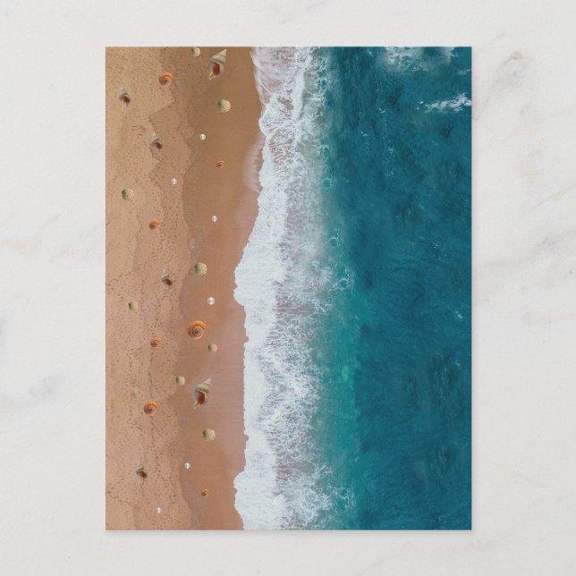 SEASCAPE BEACH SHELLS SUMMER VACATION  POSTCARD (Front)