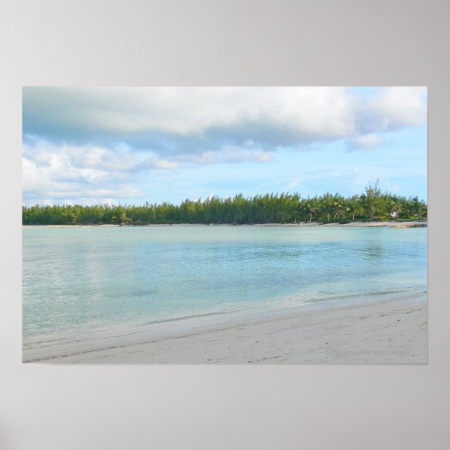 "SEASCAPE / GREEN TURTLE CAY /ABACO ISLANDS" POSTER (Front)