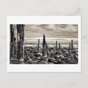 Seascape - Morning Moorings Postcard