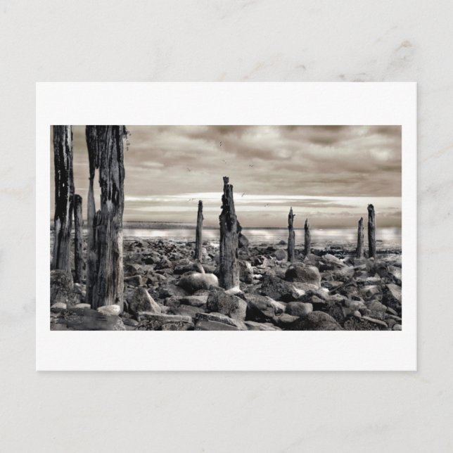 Seascape - Morning Moorings Postcard (Front)