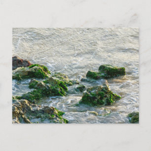 Seascape Postcard