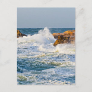 Seascape Postcard