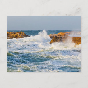 Seascape Postcard