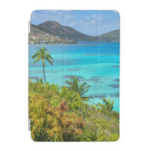  Seascape with Beach, Great Wave & Mount Sea Case