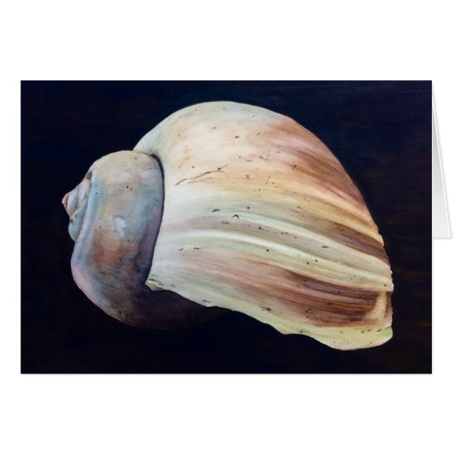 Seashell (Front Horizontal)