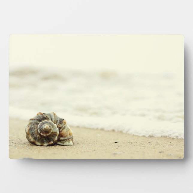 Seashell Alone On Beach Plaque (Front)