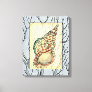 Seashell and Tree Branches Canvas Print