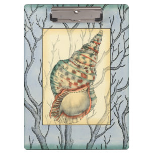 Seashell and Tree Branches Clipboard