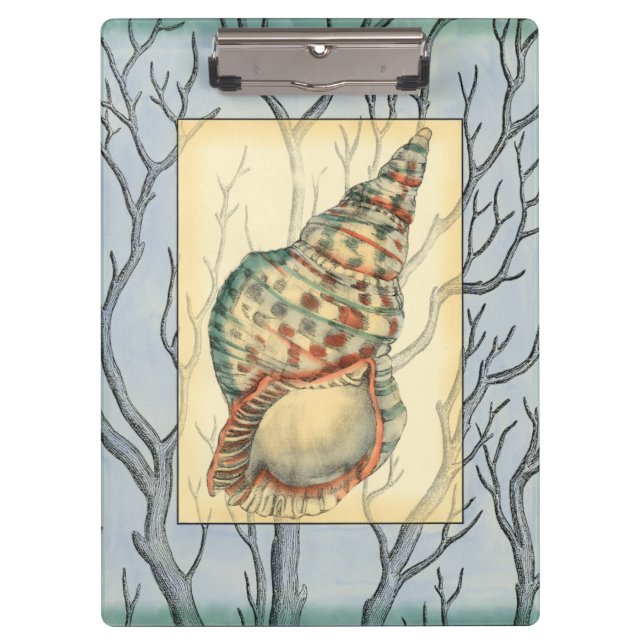 Seashell and Tree Branches Clipboard (Front)